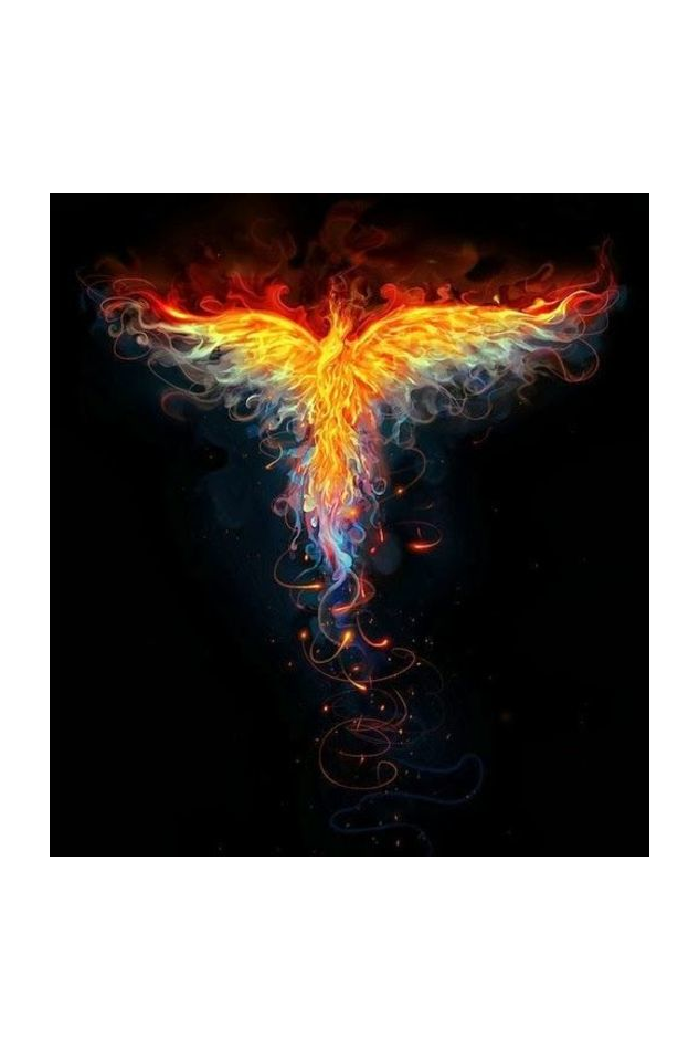 "Embrace Transformation with our Phoenix-Themed Women's T-Shirt!"