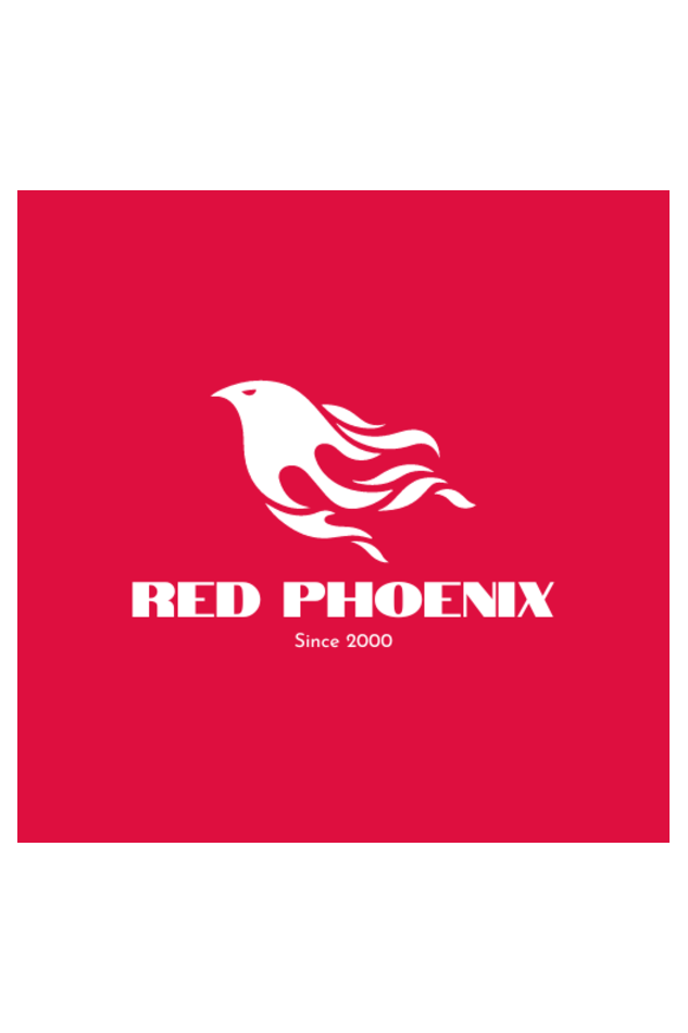 "Embrace Transformation with our Phoenix-Themed Women's T-Shirt!"