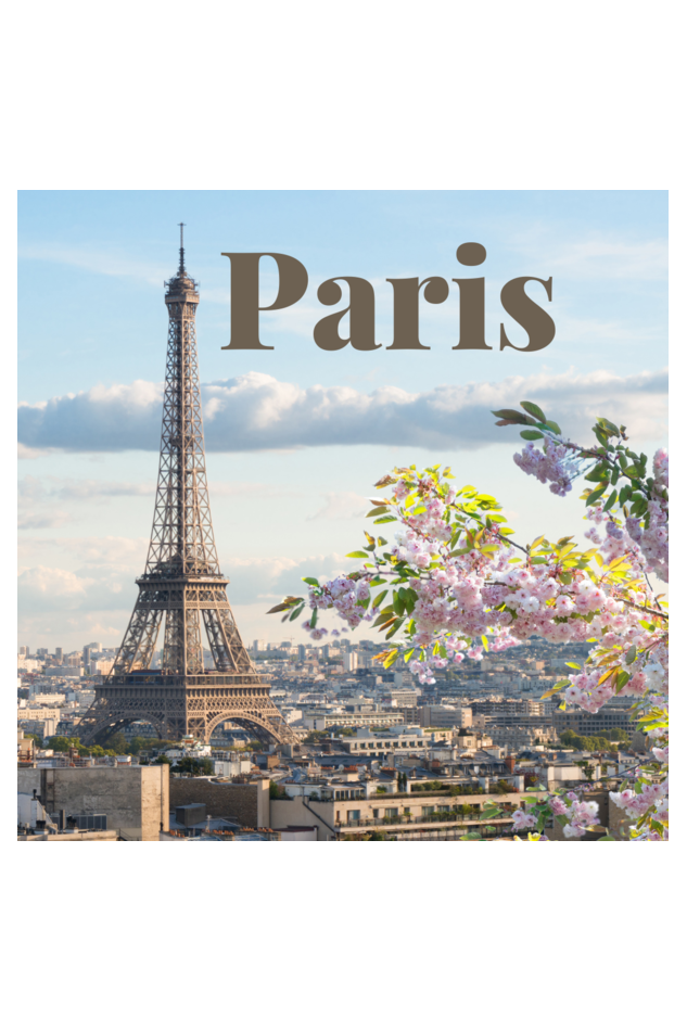 "Evoke the Romance of Paris with Our Women's Paris-Themed T-Shirts!"