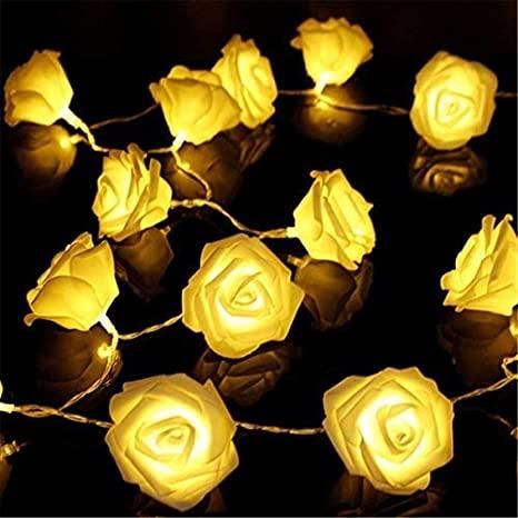 Rose Flower Led Serial String Lights - |10 Feet 14 Led Rose Lights (Warm White Plug-in)