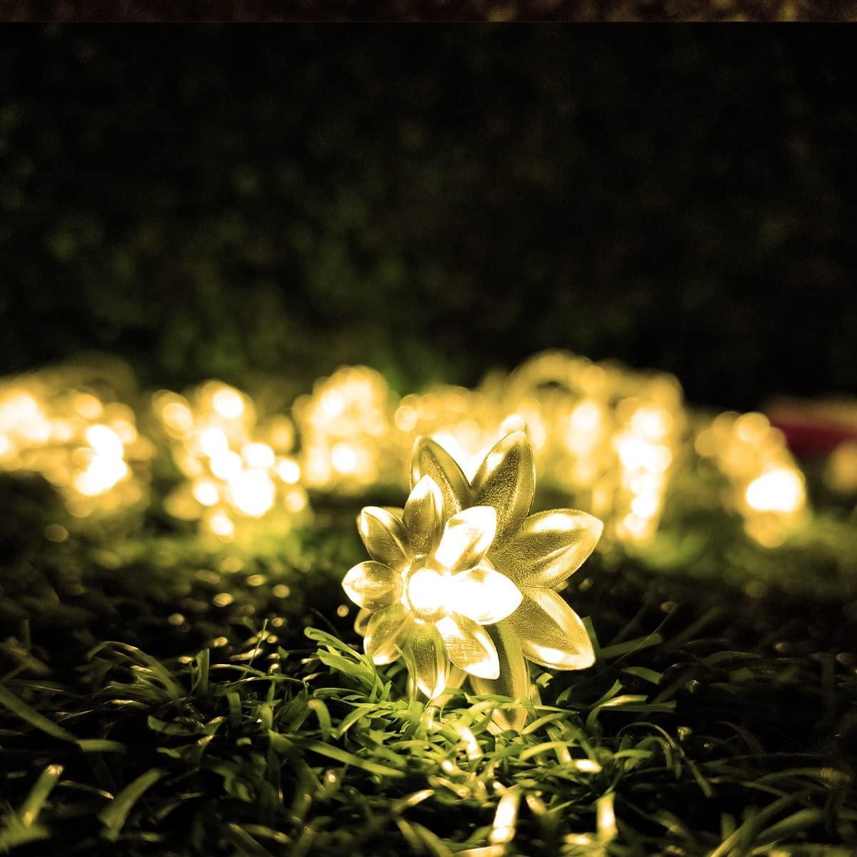 14 LED Lotus Flower Warm White Decorative String Light