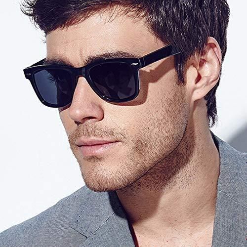 Unisex Signature Wayfarer Sunglasses