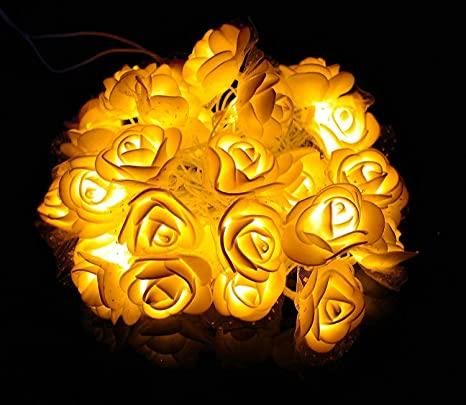 Rose Flower Led Serial String Lights - |10 Feet 14 Led Rose Lights (Warm White Plug-in)